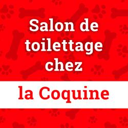 Salon de Toilettage chez la Coquine, Saint-Augustin-de-Desmaures, QC opening hours