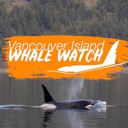 Vancouver Island Whale Watch, Nanaimo, BC opening hours