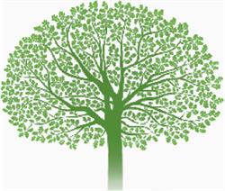 Antiquity Environmental Consulting Ltd., Langley, BC opening hours
