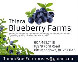 Thiara Blueberry Farms, Pitt Meadows, BC opening hours