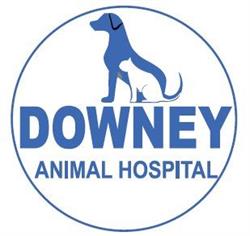 Downey Animal Hospital, Guelph, ON opening hours