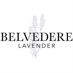 Belvedere Lavender, Woodstock, ON opening hours