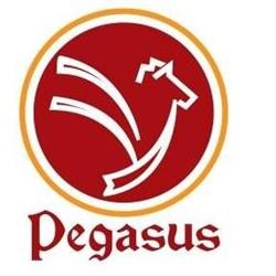 PEGASUS CONSULTANCY CANADA INC., Ottawa, ON opening hours