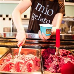 Mio Gelato, Kingston, ON opening hours