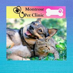 Montrose Pet Clinic Inc, Beaumont, AB opening hours
