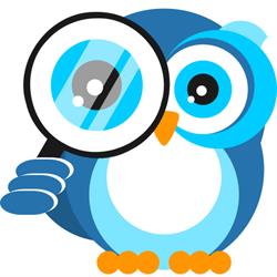 Blue Owl Inspections, Burnaby, BC opening hours