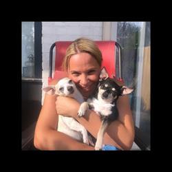 Kitten’s K9 Clips, Mount Brydges, ON opening hours