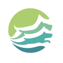 Veterinary Mobility Center, Regina, SK opening hours