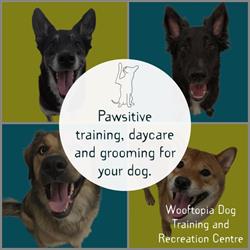 Wooftopia Dog Training & Recreation Centre Inc, Winnipeg, MB opening hours