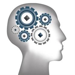 Vie Psychology, Inc., Coquitlam, BC opening hours