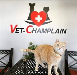 Vet-Champlain Animal Care Inc, Dieppe, NB opening hours