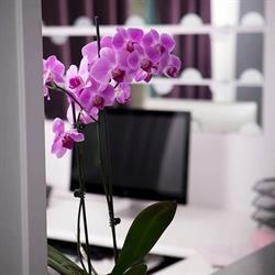 Codesign Dentaire, Saint-Constant, QC opening hours