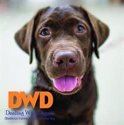 Dealing with Dogs, Ltd., Oakville, ON opening hours