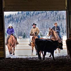 Miworth Equestrian Center, Prince George, BC opening hours