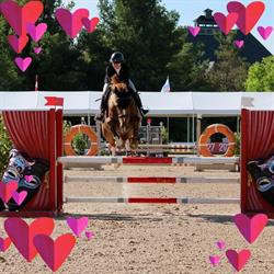 BYDEN FARM Equestrian Services, Metcalfe, ON opening hours