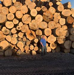 Lakeshore Forest Products Ltd., Thedford, ON opening hours