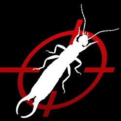 Massicotte extermination inc, Rouyn-Noranda, QC opening hours