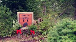 Arbutus Grove B and B, Gabriola, BC opening hours