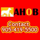 Animal Hospital of Bowmanville &(Home Euthanasia Services)., opening hours