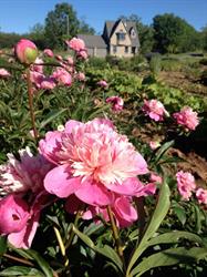 Horlings Plants, Wolfville, NS opening hours