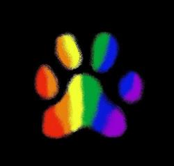 Pawcasso Pet Salon, North Bay, ON opening hours