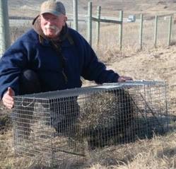 Wise Wildlife Control Svc, Coldstream, BC opening hours