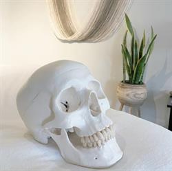 Renewed Health, Goderich, ON opening hours