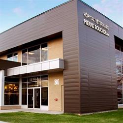 Hôpital Vétérinaire Pierre-Boucher, Longueuil, QC opening hours