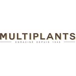 Multiplants, Saint-Apollinaire, QC opening hours
