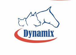 Dynamix Pont-Rouge, opening hours