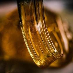 Windermere Sugaring, Edmonton, AB opening hours