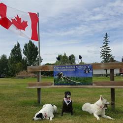 Eagle Lake Boarding Kennel, Strathmore, AB opening hours