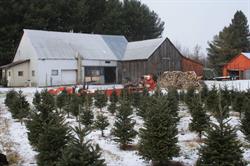 Sapins Drummond, Saint-Nicéphore, QC opening hours