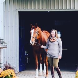Fox Brook Farm, Bracebridge, ON opening hours