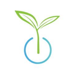 Renewed Hope Counselling, Chilliwack, BC opening hours
