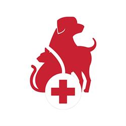 Veterinary Medical Center of Eastern Alberta, Wainwright, AB opening hours