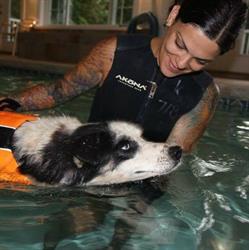 Northwest Canine Wellness Center, North Saanich, BC opening hours