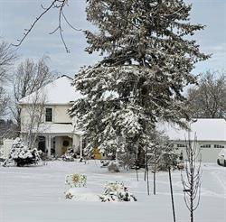 Daisy Hill Bed and Breakfast, Odessa, ON opening hours