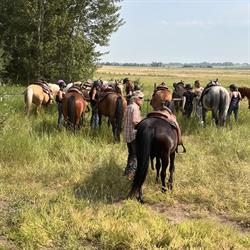 The Humblehorse Ranch, Strathmore, AB opening hours