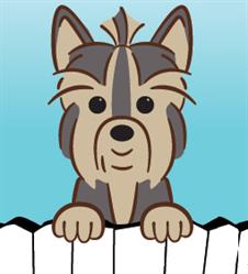 Gus's Pet Resort, Okotoks, AB opening hours