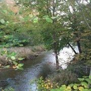 Peaceful River Campground, Scotsburn, NS opening hours