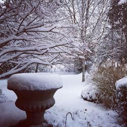 Tailwinds B&B, Hillsburgh, ON opening hours