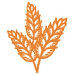 Sadaqa Food Bank, Ottawa, ON opening hours