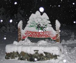 Doveside Christmas Tree Farm, Courtenay, BC opening hours