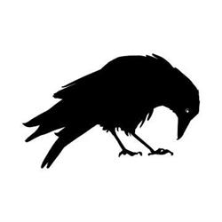 Raven Web Services, Yellowknife, NT opening hours