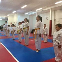Dennis Gray's Simcoe Martial Arts, opening hours
