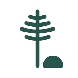 Stick and Stone Cannabis Co., Fernie, BC opening hours
