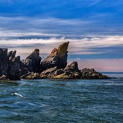 Advocate Boat Tours, Advocate Harbour, NS opening hours