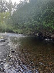 Tim's Campsite by the River, Falkland, BC opening hours