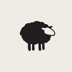 Black Sheep Mattress Company, Calgary, AB opening hours
